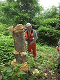 c0173813_18385440.jpg