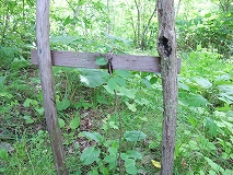 c0173813_18433764.jpg