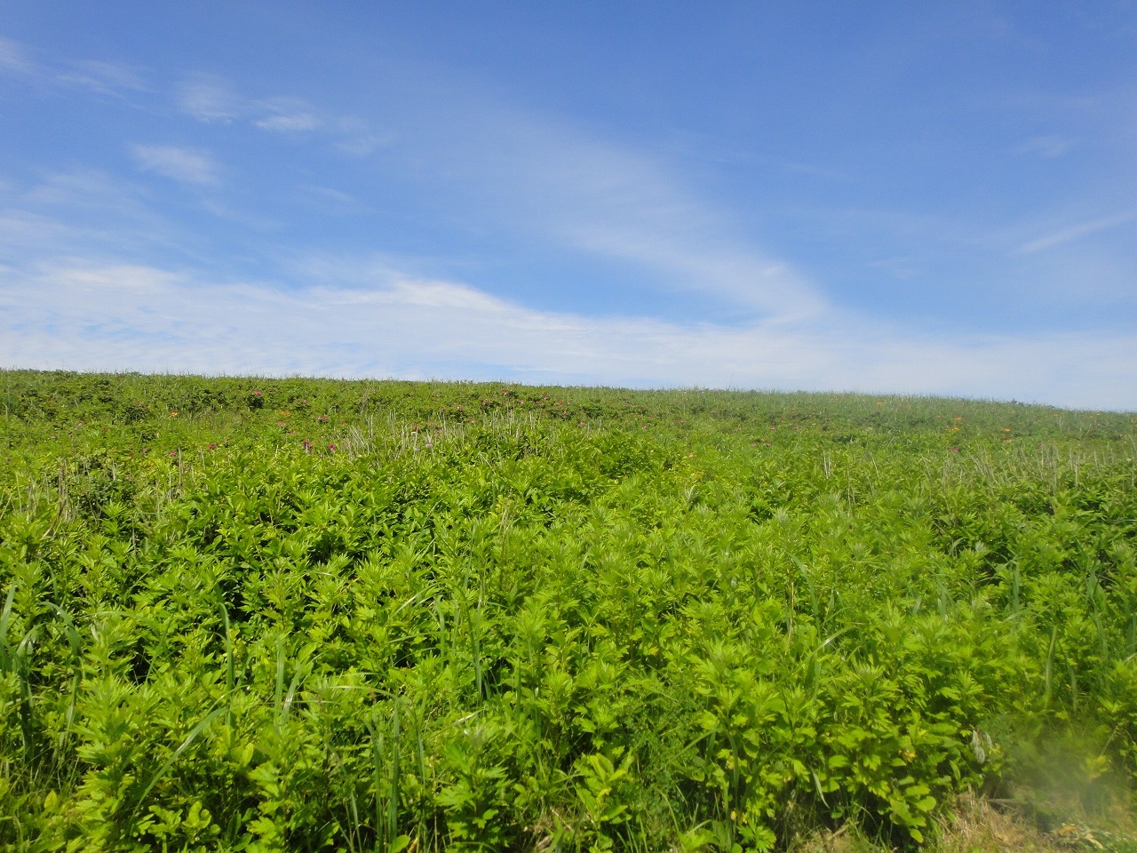 c0337813_14102586.jpg
