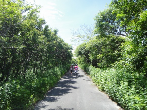 c0337813_14105366.jpg