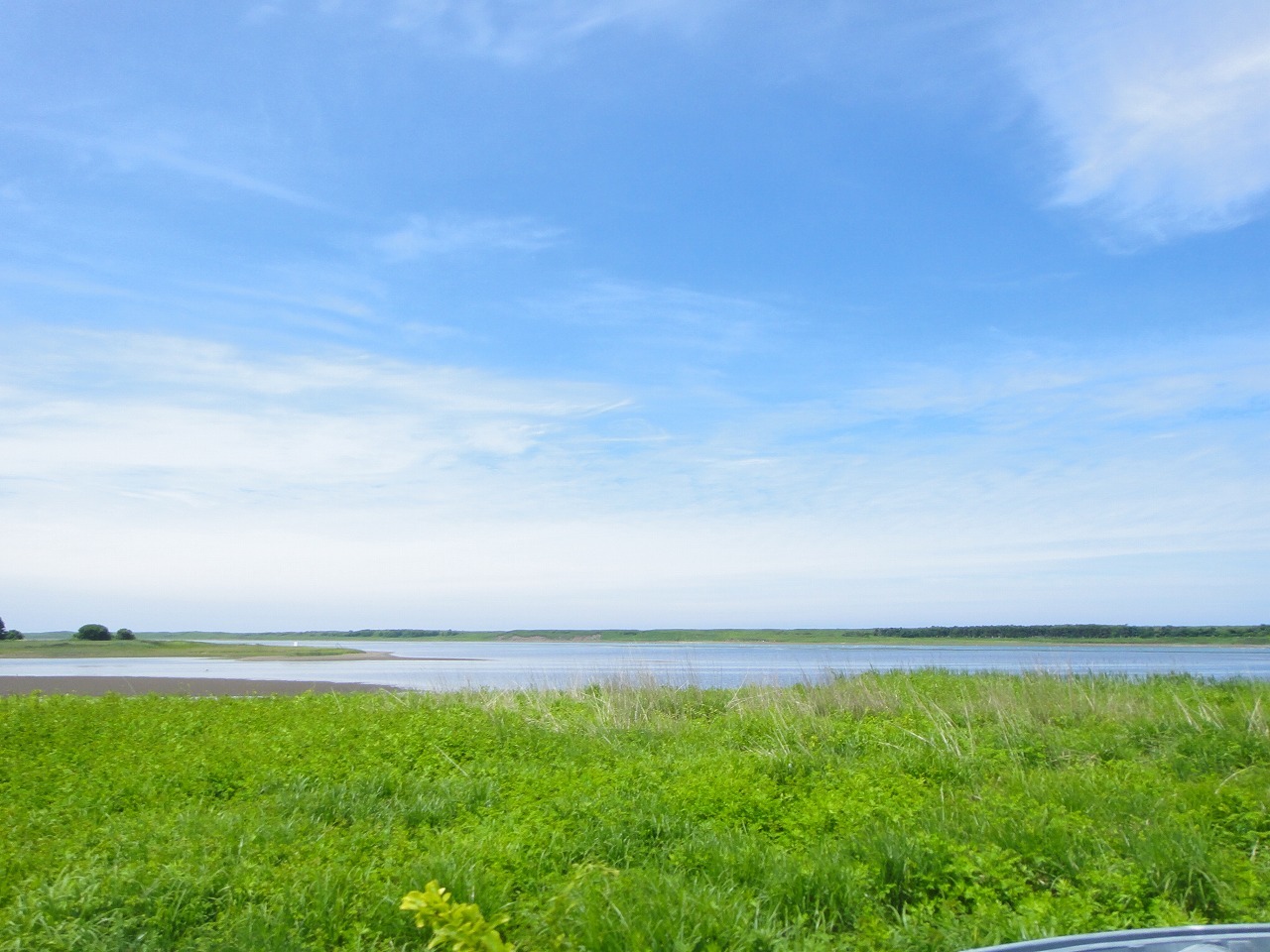 2015 サロマ湖100kmウルトラマラソン（レース当日編）_c0337813_14110412.jpg