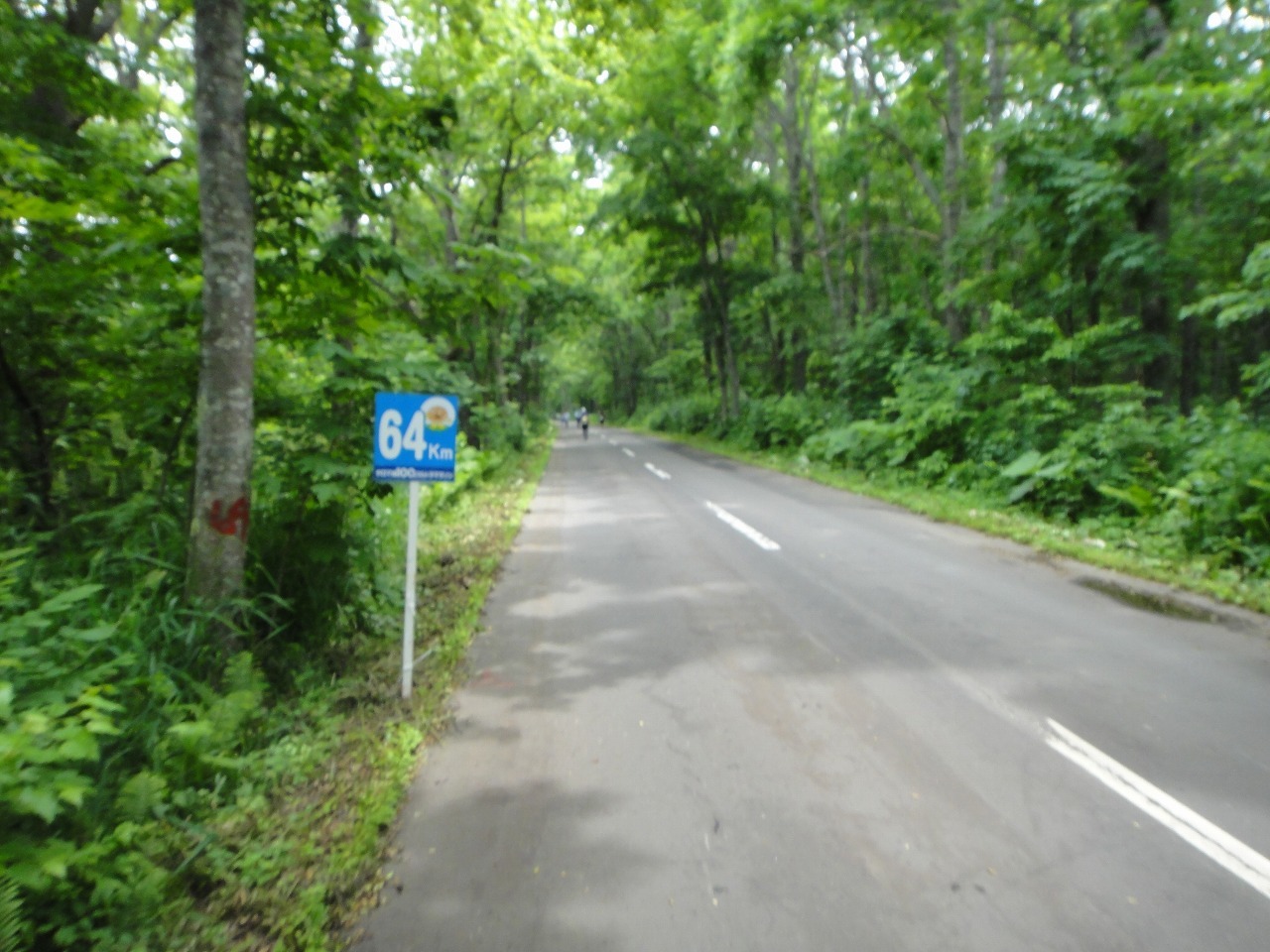 c0337813_14112709.jpg