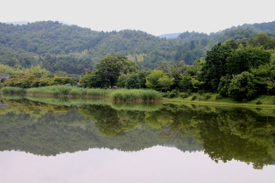 嵯峨野を歩く2 広沢の池から_e0048413_21203567.jpg