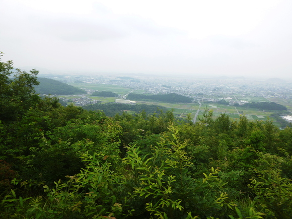 d0170615_172446.jpg