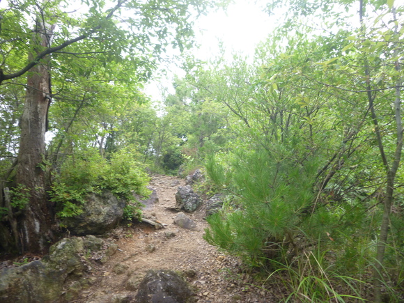 d0170615_17304.jpg