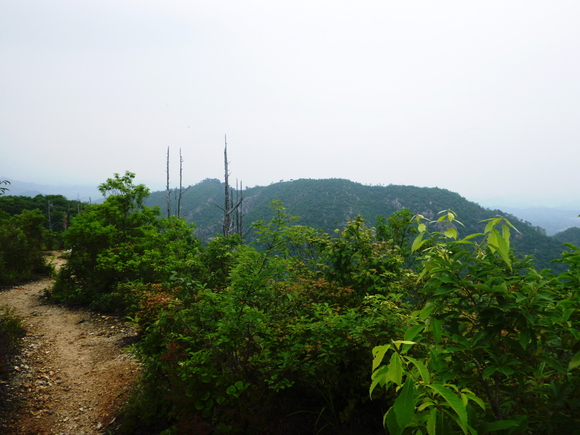 d0170615_1735145.jpg