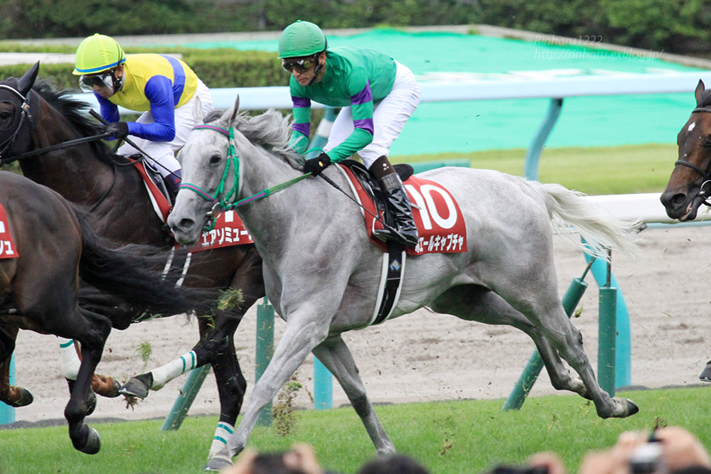 2014.8.24 札幌競馬場☆ホエールキャプチャ【Thoroughbred】_f0250322_15315166.jpg