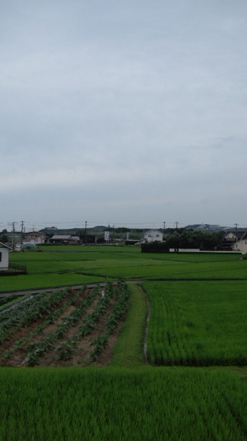 a0093423_815724.jpg