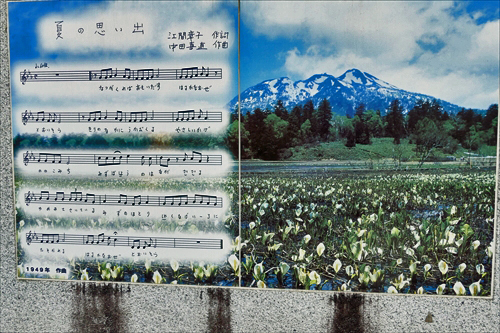 福島県南会津郡桧枝岐村　ミニ尾瀬公園に咲く「初夏の花」　①_d0106628_06335951.jpg