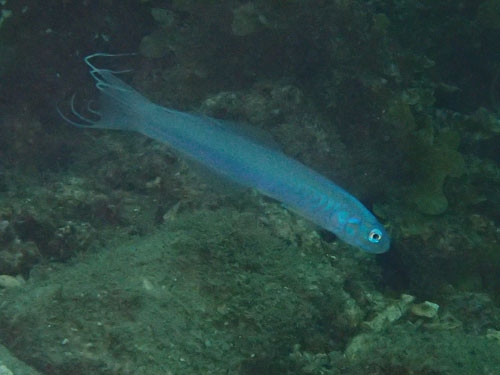d0164831_1645152.jpg