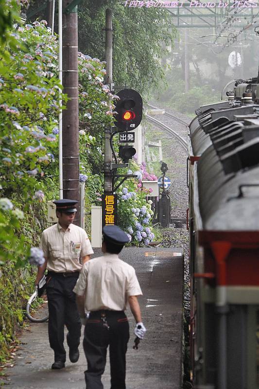 箱根登山鉄道「あじさい電車」④：上大平台信号場_a0195032_15175111.jpg