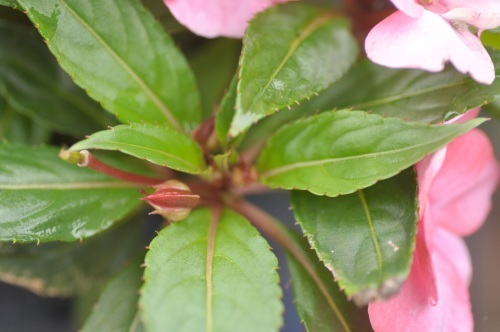 e0348733_02273241.jpg