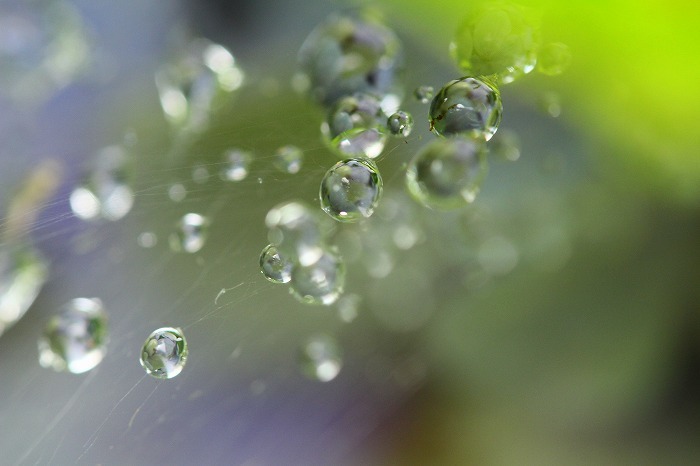 雨のあとは・・・_f0327034_20595278.jpg