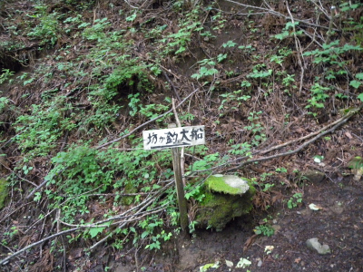 e0272335_3543394.jpg