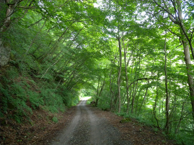 e0272335_4532487.jpg