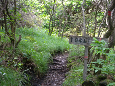 e0272335_7563374.jpg