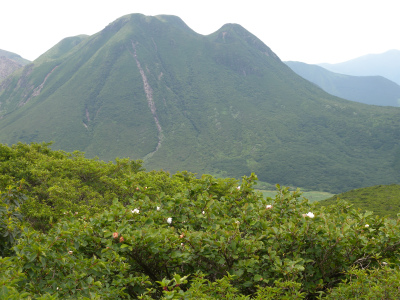 e0272335_8363561.jpg