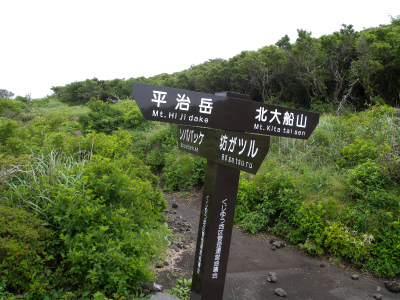 e0272335_8463476.jpg