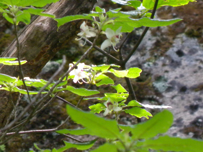 e0272335_904480.jpg