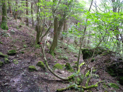 e0272335_985256.jpg