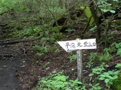 e0272335_995634.jpg