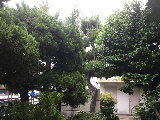 f0031037_20343695.jpg