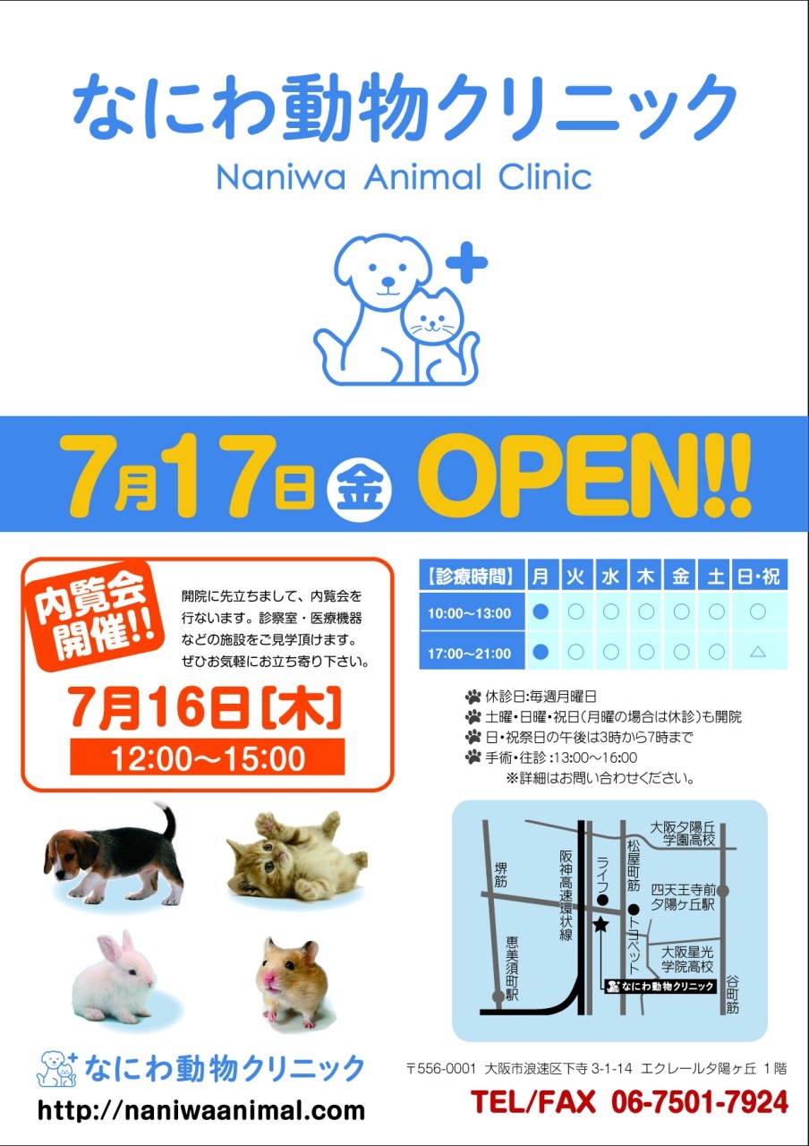内覧会のお知らせ_e0339146_09471196.jpg
