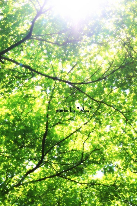 a0340249_21242202.jpg