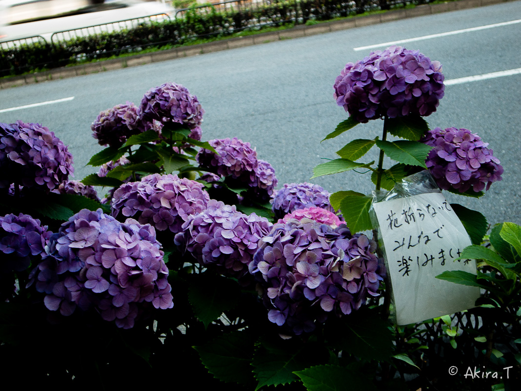 f0152550_1611325.jpg