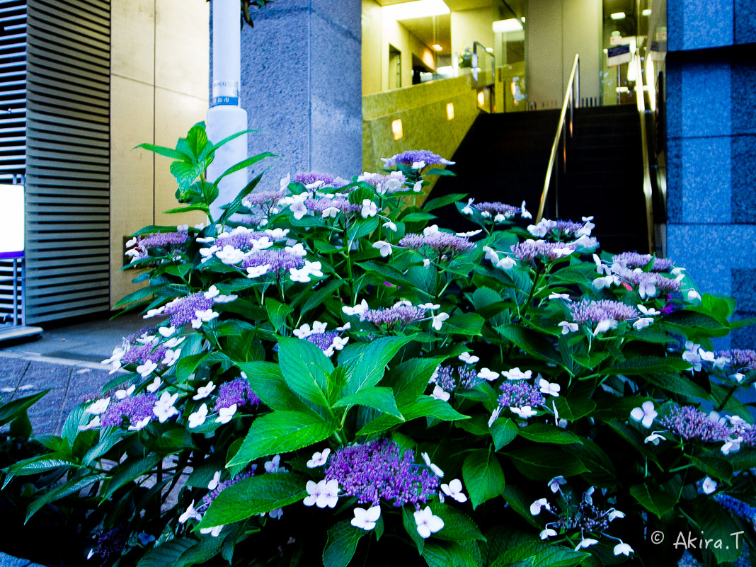 f0152550_1612150.jpg