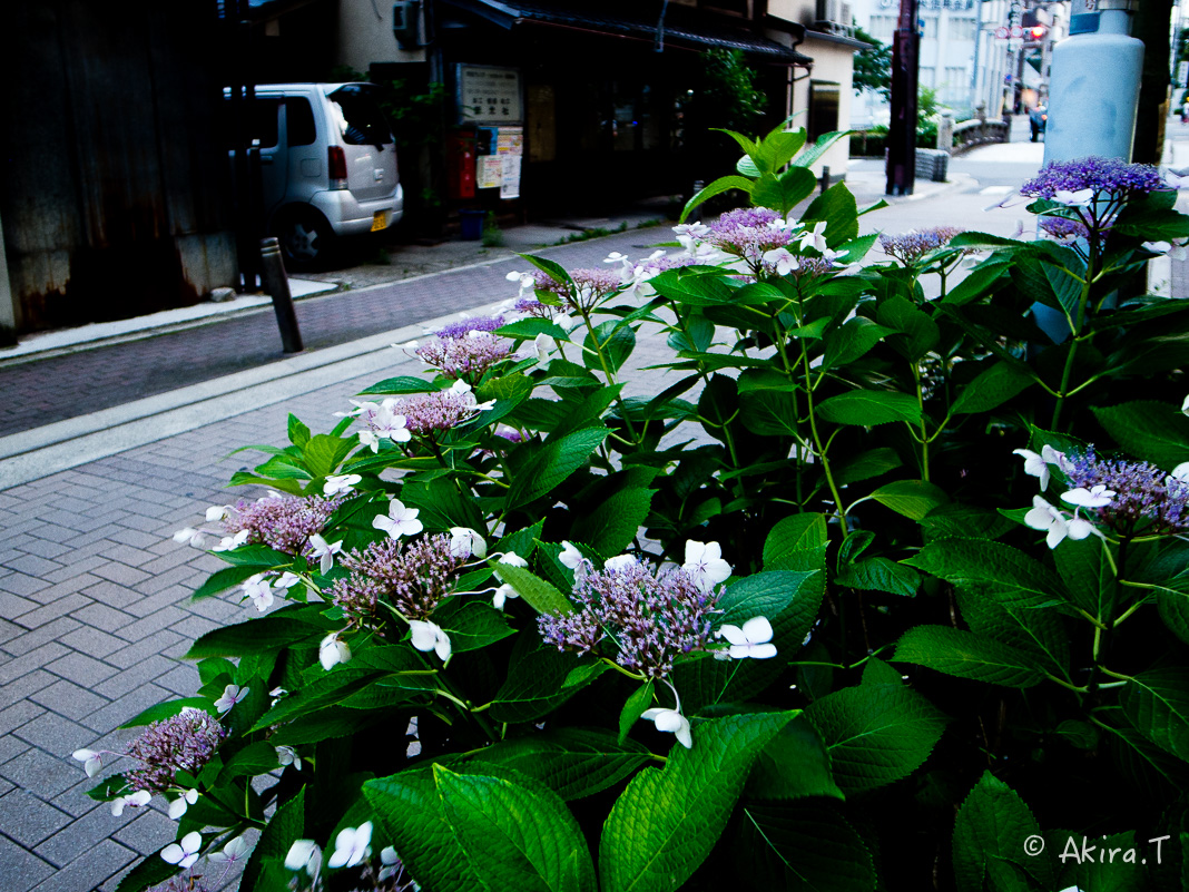 f0152550_1612162.jpg