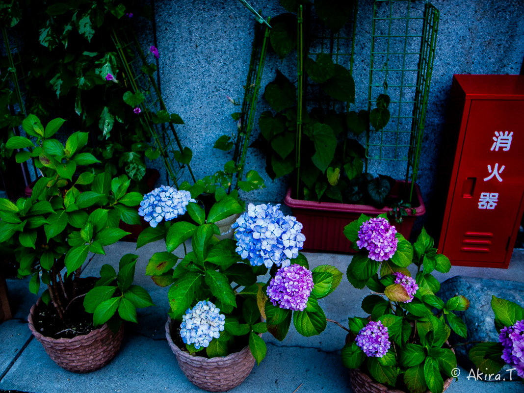 f0152550_16123453.jpg