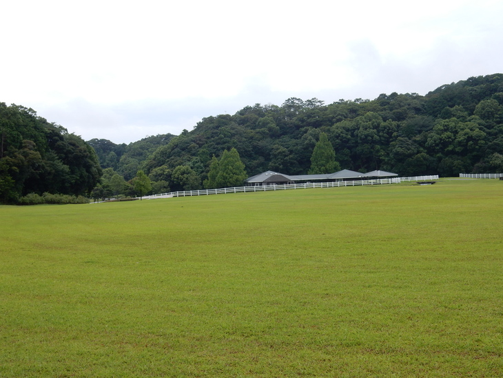 ’15,7,5(日)何でもない土曜日!_f0060461_1527285.jpg