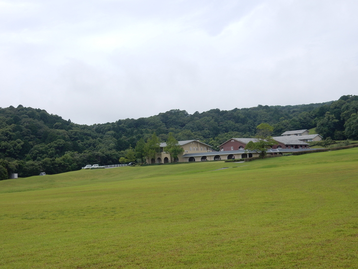 ’15,7,5(日)何でもない土曜日!_f0060461_15283018.jpg