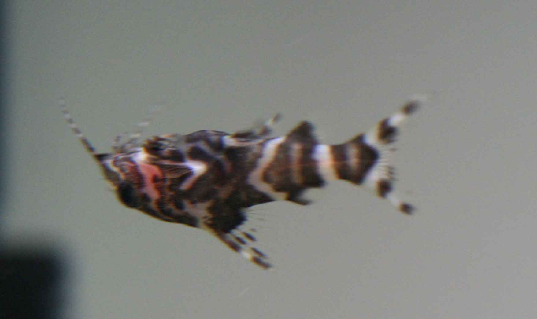 a0162263_19111634.jpg