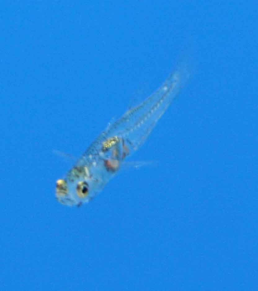 a0162263_19175095.jpg