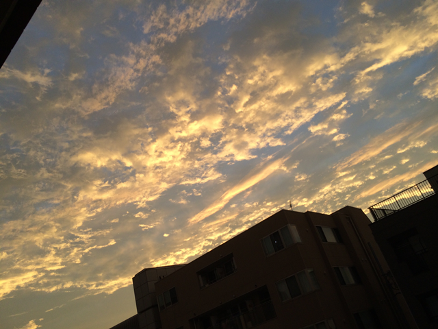 d0154964_2318478.png