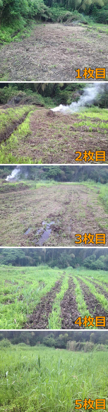 開拓第7回(6月)レポート_c0177665_18205495.jpg