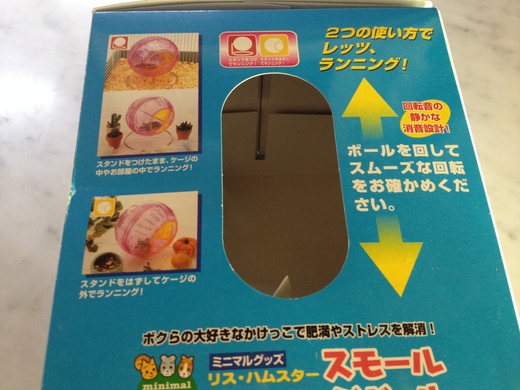 ナランチャ&ウンテイ、まさかの再オメデタ_a0136671_016171.jpg