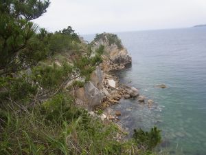 網地島。土壌の少ない岩の上での植樹に成功_e0148077_13483275.jpg