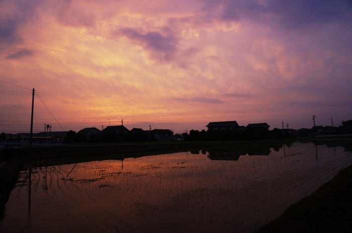 d0047885_23532433.jpg