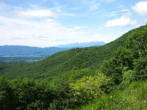 c0090198_15275740.jpg