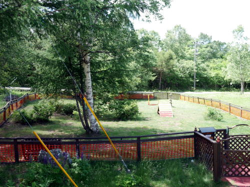 c0090198_15422832.jpg