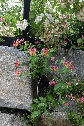 c0124100_0173598.jpg