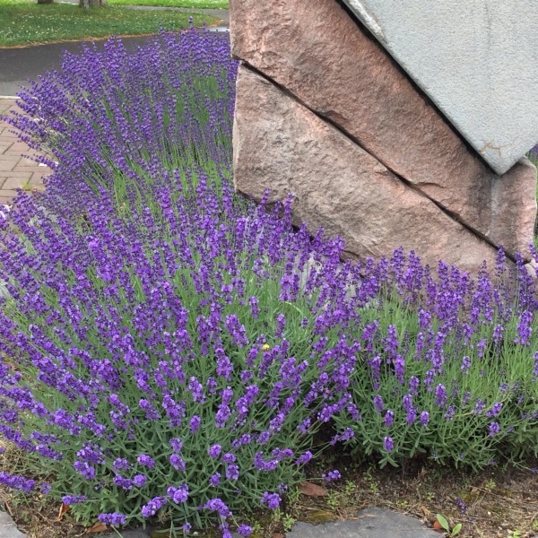 b0220002_23311115.jpg