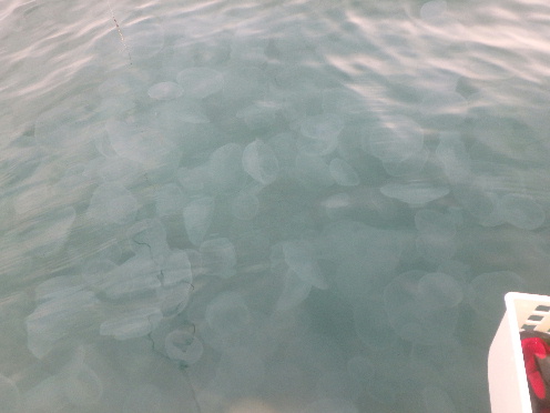 b0137704_0591753.jpg