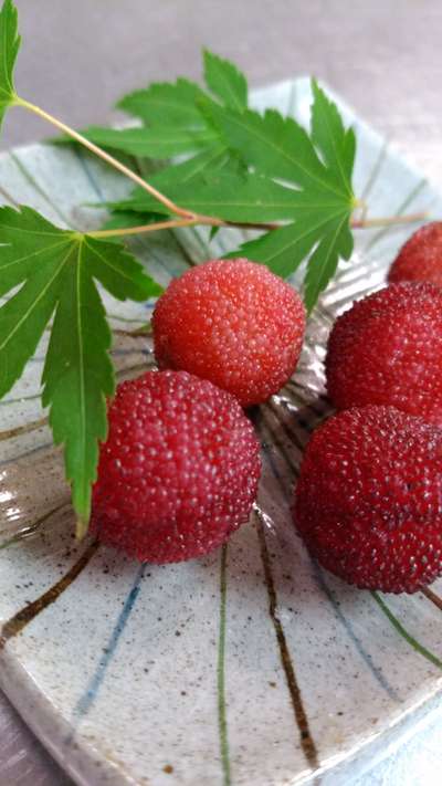 なぁ~~んか? ふ・し・ぎ??な食感!_d0135908_11461360.jpg