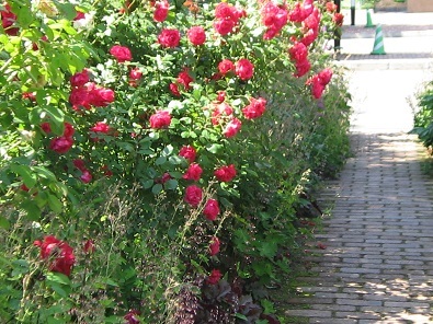 f0325309_19154927.jpg
