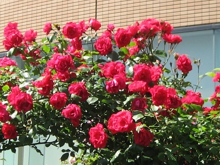 f0325309_19490634.jpg