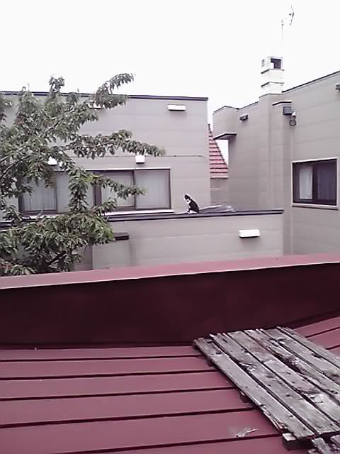 a0112812_22372829.jpg
